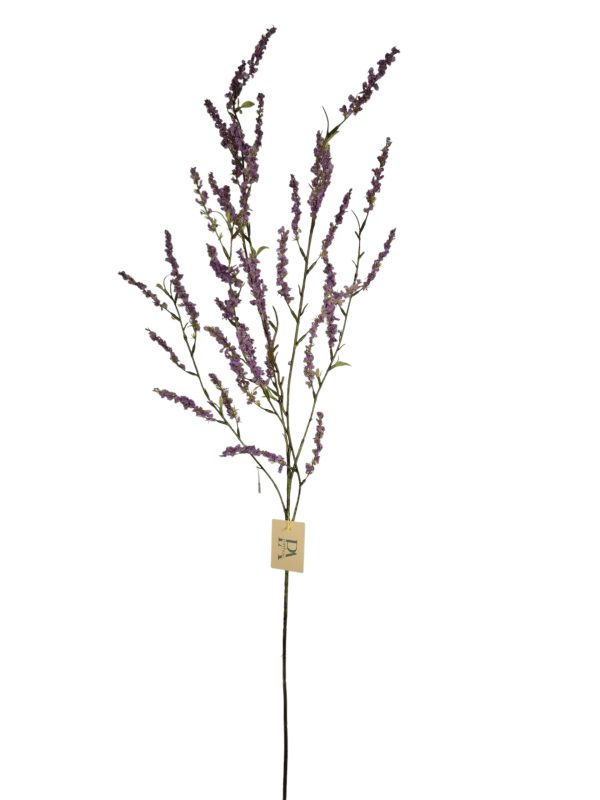 Bruidsbloem, Fresh Purple, 105cm,