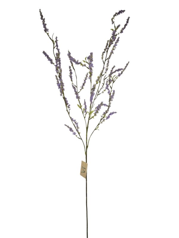 Bruidsbloem, Lilac, 105cm,