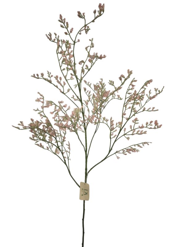 Limonium,Light Pink, 82cm,