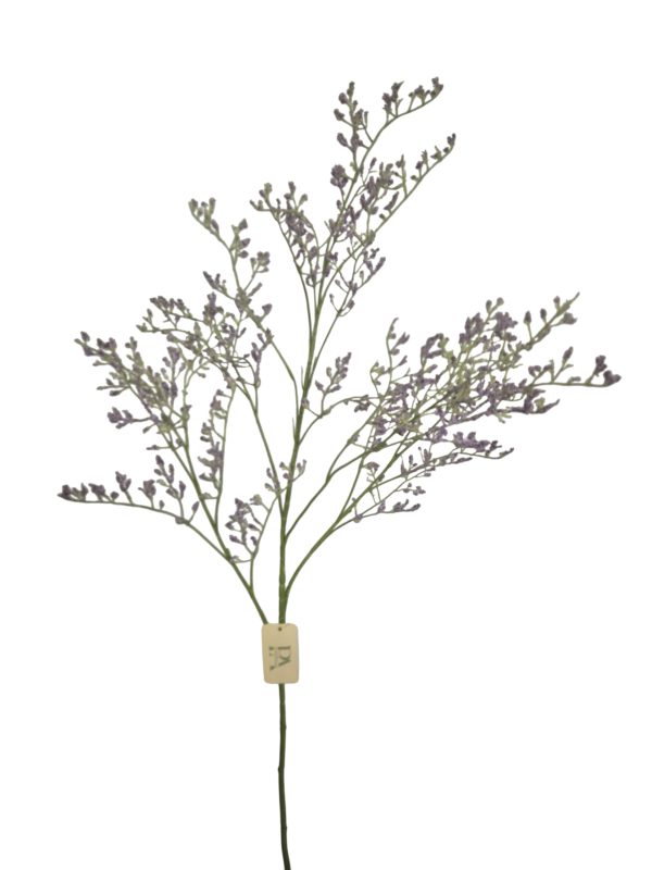 Limonium,Purple, 82cm,