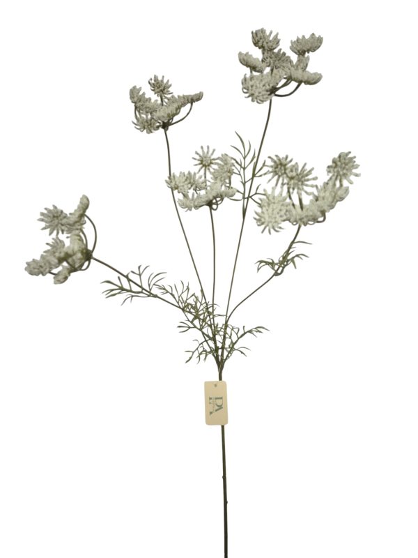 Anethum, White, 82cm