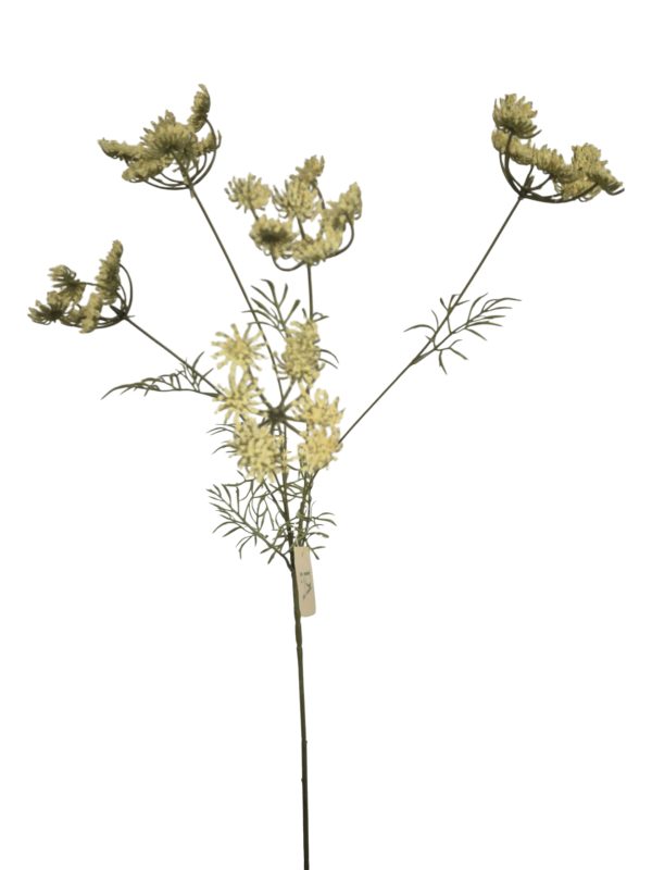 Anethum XXL, Yellow, 106cm