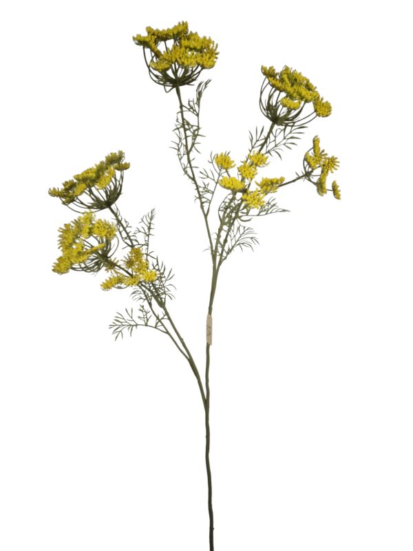 Anethum, Beige, 82cm