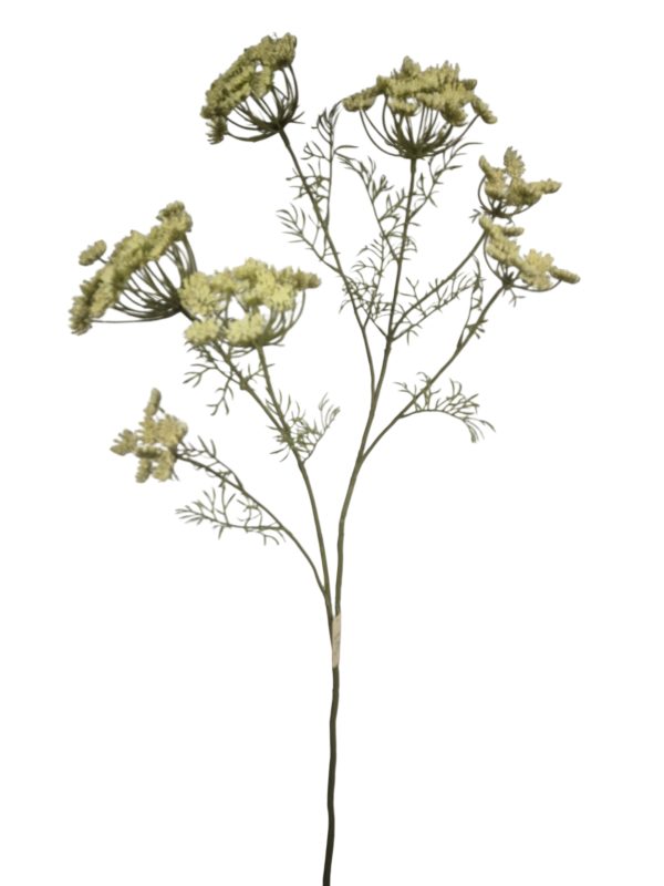 Anethum XXL, Beige, 106cm