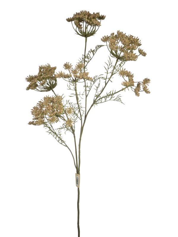 Anethum XXL, Taupe, 106cm