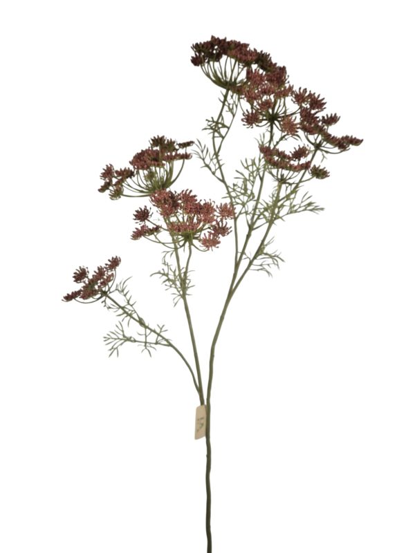 Anethum XXL, Burgundy, 106cm