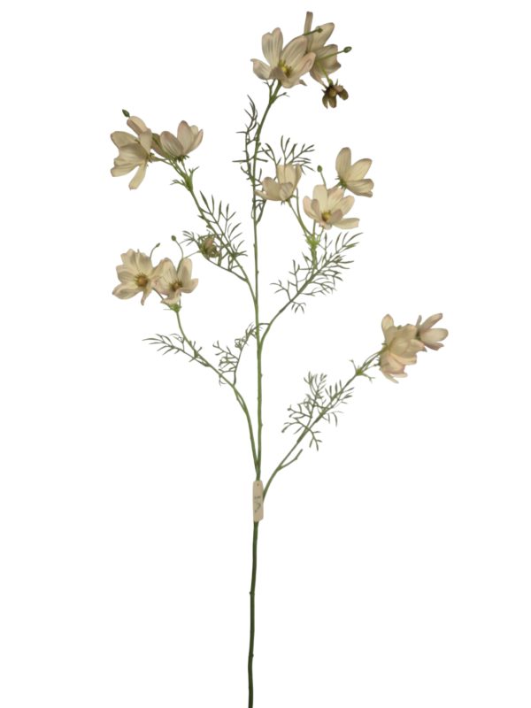 Anemone Japonica, Soft Pink, 112cm